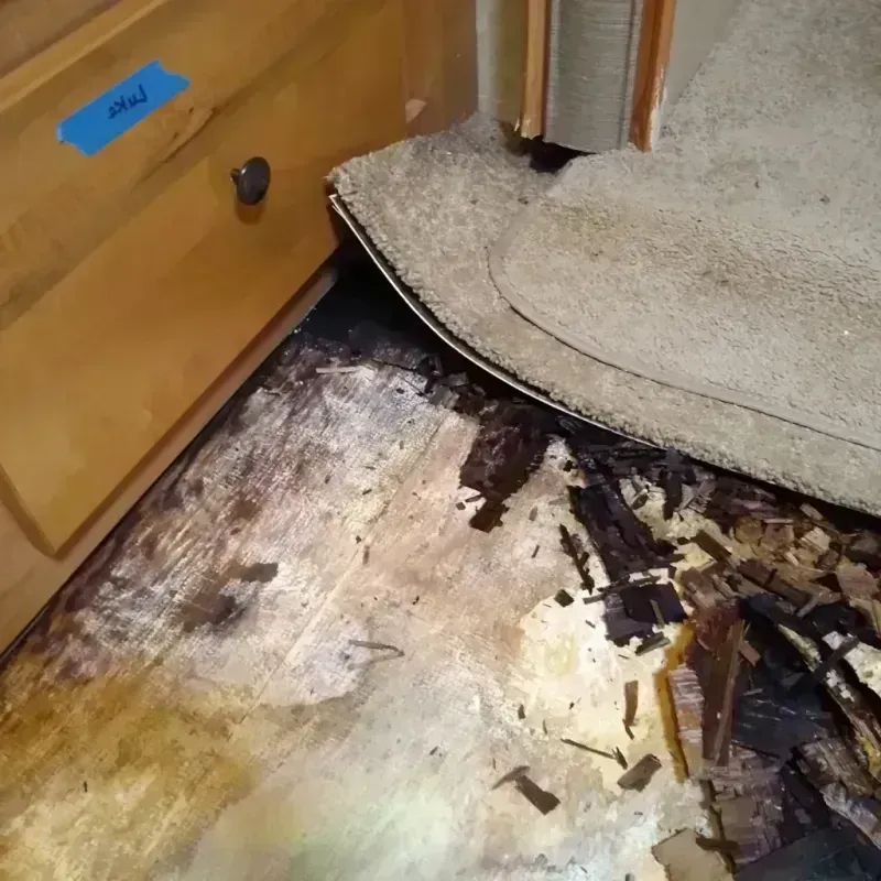 Best Wood Floor Water Damage Service in Burlington, NC